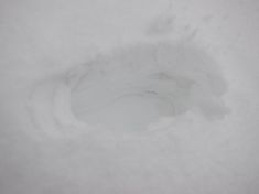 IMG_0003_11.JPG