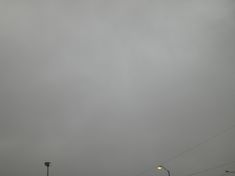 CIMG1335_02.JPG