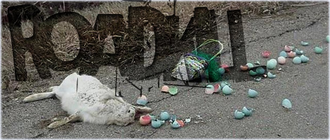 Roadkill